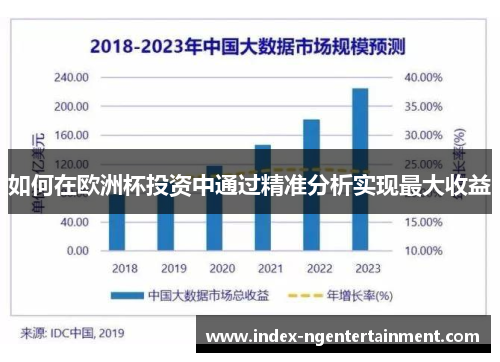 如何在欧洲杯投资中通过精准分析实现最大收益