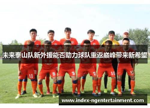 未来泰山队新外援能否助力球队重返巅峰带来新希望