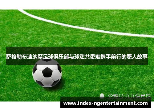萨格勒布迪纳摩足球俱乐部与球迷共患难携手前行的感人故事