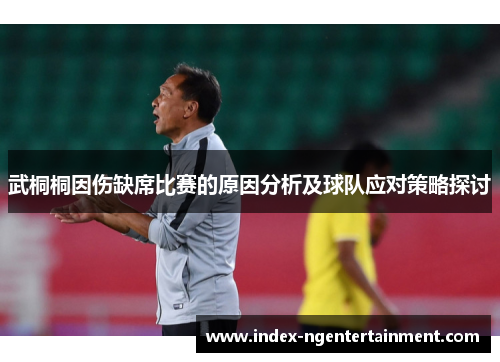 武桐桐因伤缺席比赛的原因分析及球队应对策略探讨