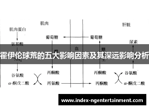 霍伊伦球荒的五大影响因素及其深远影响分析
