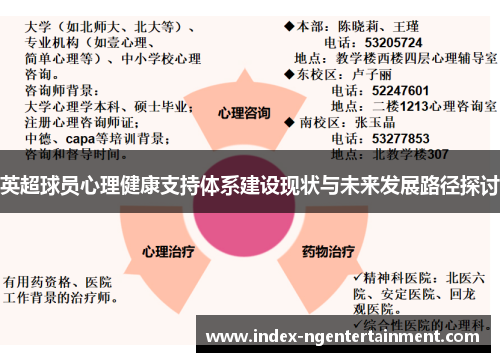 英超球员心理健康支持体系建设现状与未来发展路径探讨