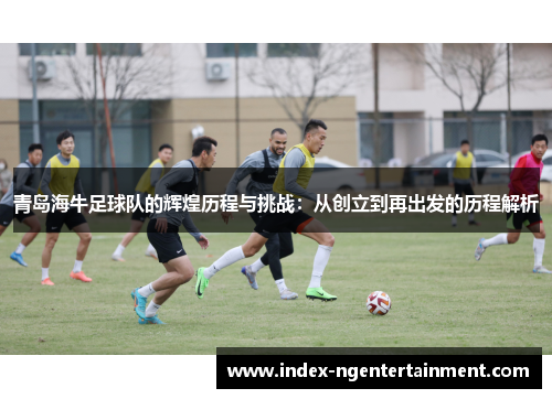 青岛海牛足球队的辉煌历程与挑战：从创立到再出发的历程解析